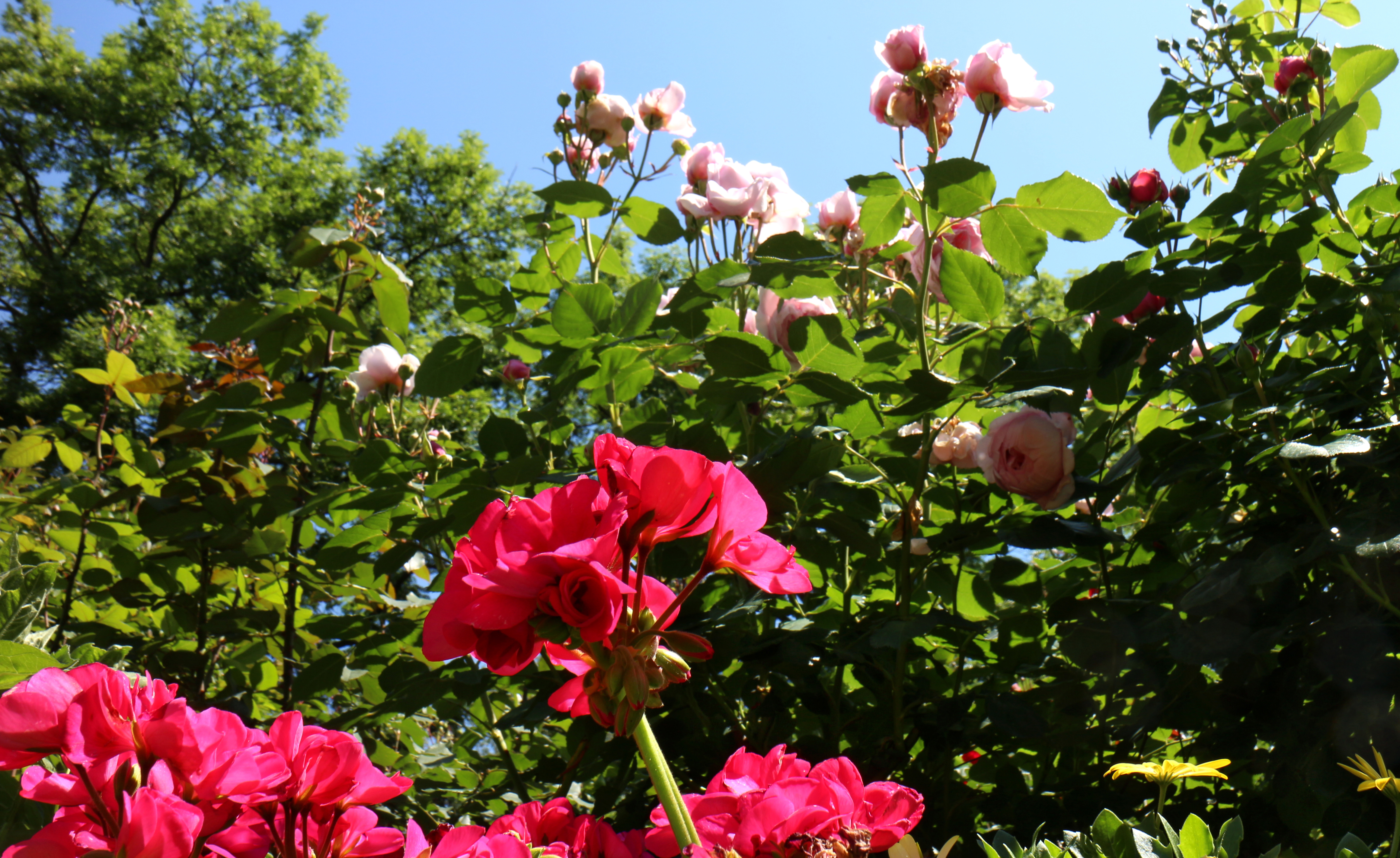 abtei-hamborn-garten-10.jpg