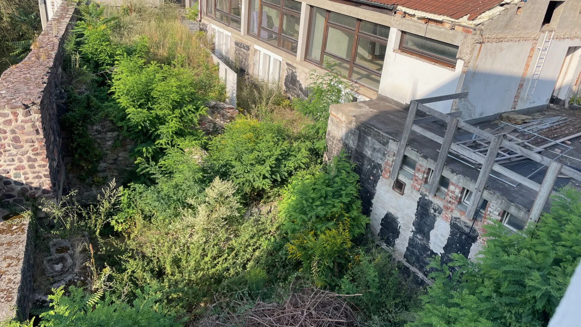 Klosterneubau Magdeburg: Fortschritte bei der Garageneinfahrt und der Küche