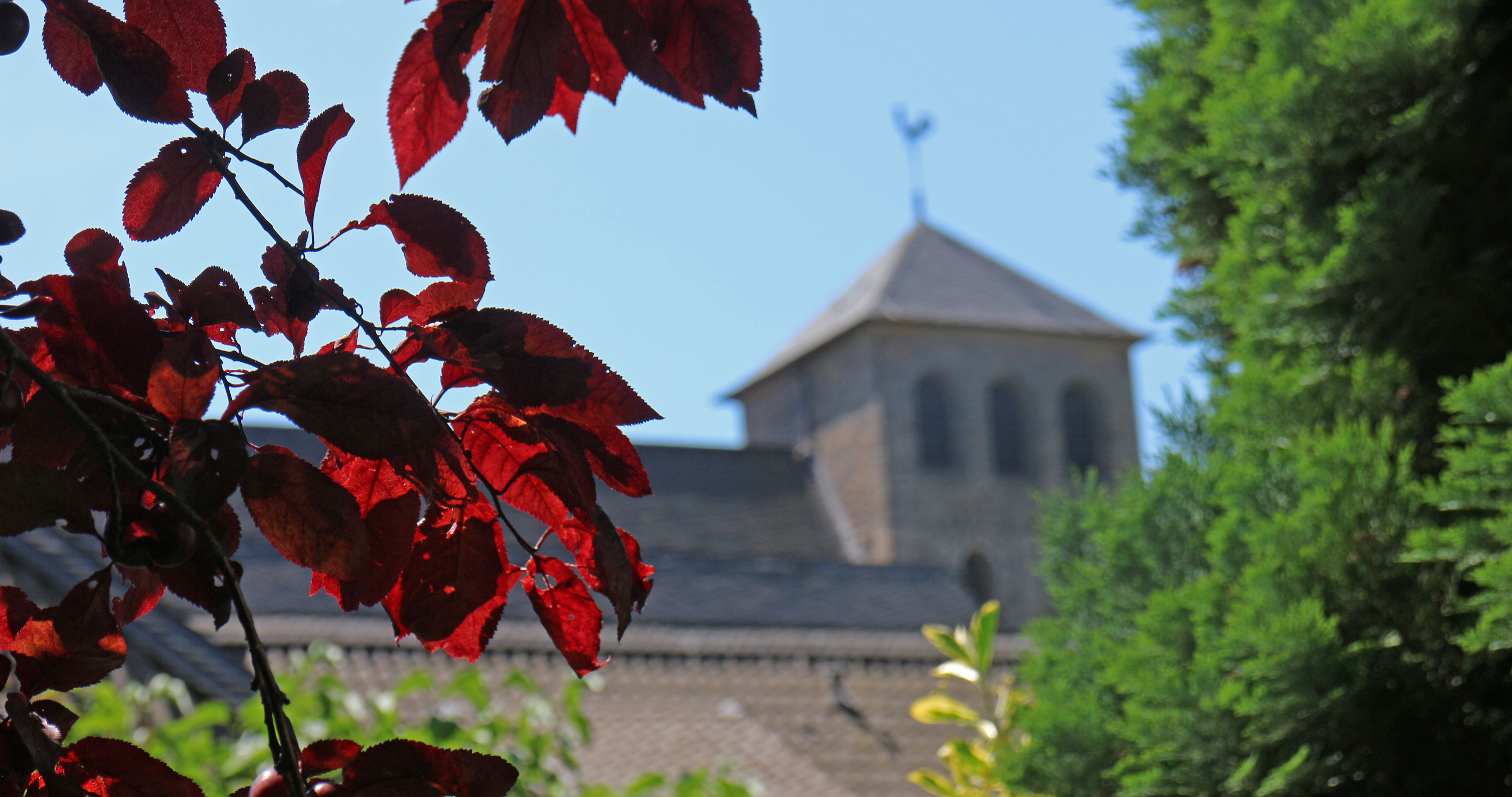 abtei-hamborn-garten-25.jpg